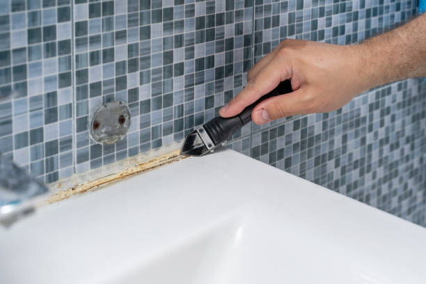 Best Black Mold Removal  in Hayward, WI